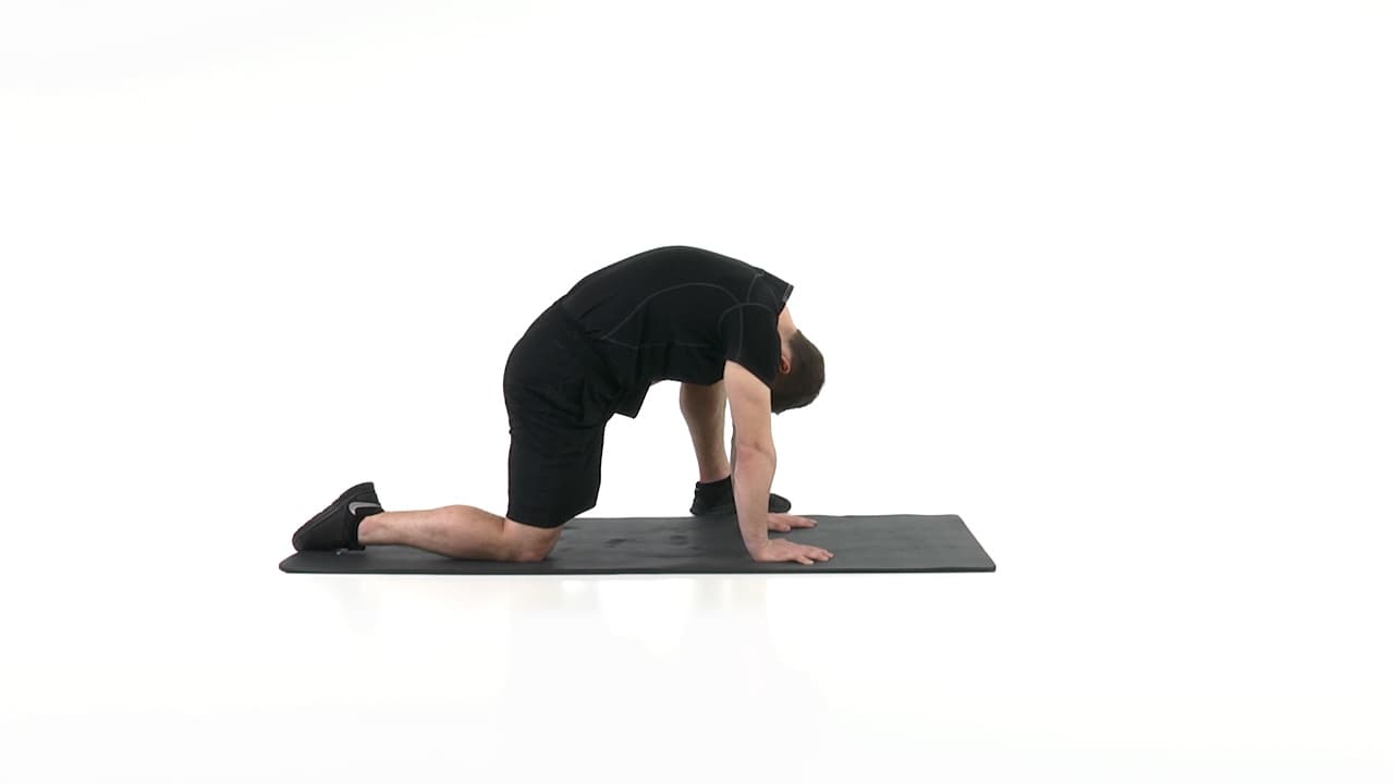 Cat/Camel Hip Flexed