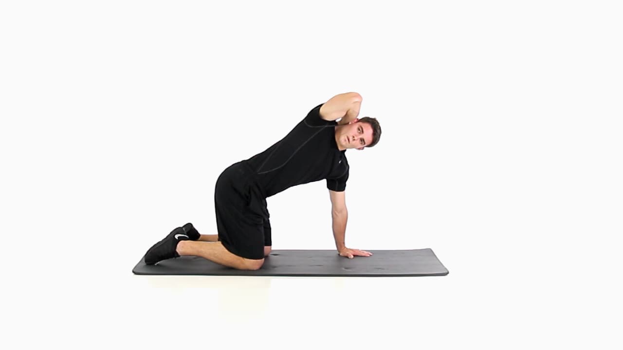 Quadruped T-Spine Rotation