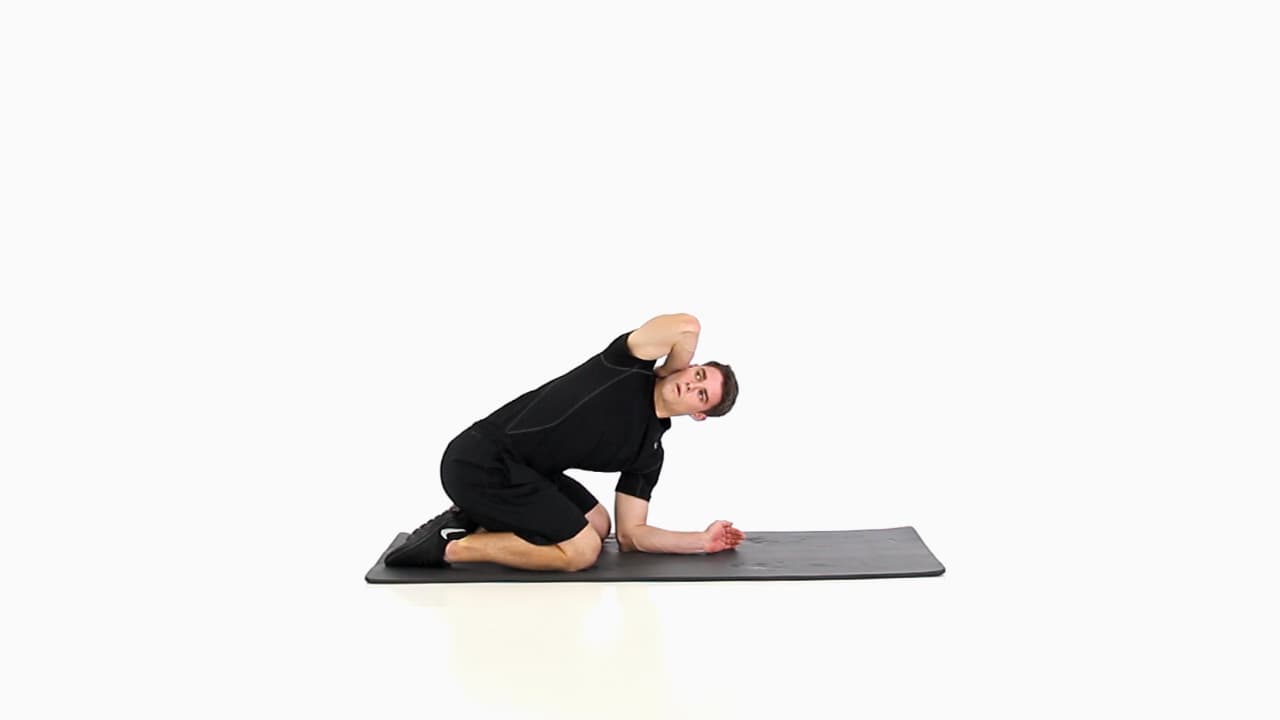 Quadruped T-Spine Rotation Lumbar Locked